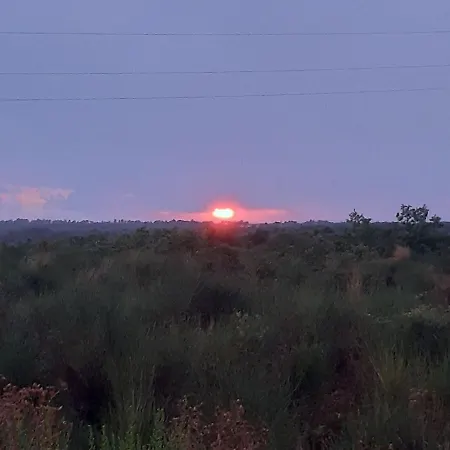 In Near Sandy Beaches Privlaka (Zadar)