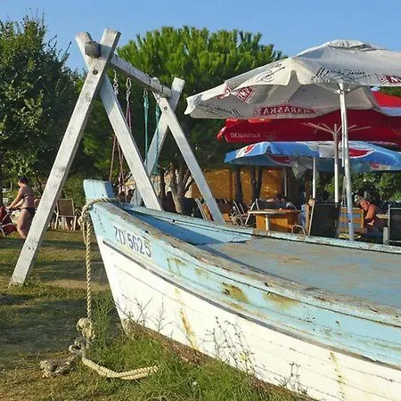 In Near Sandy Beaches *